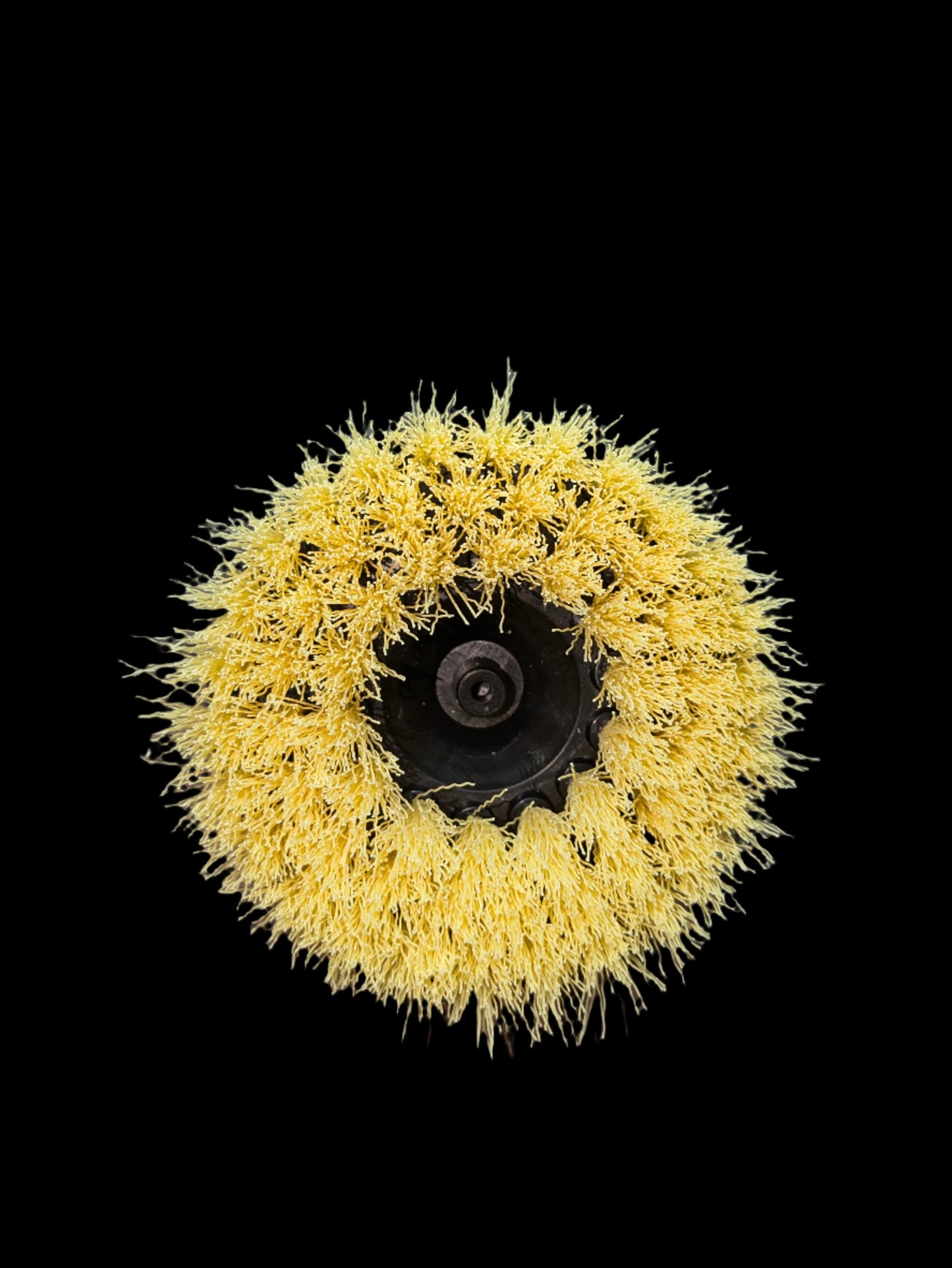 5" Drill Mount Rotary Brush