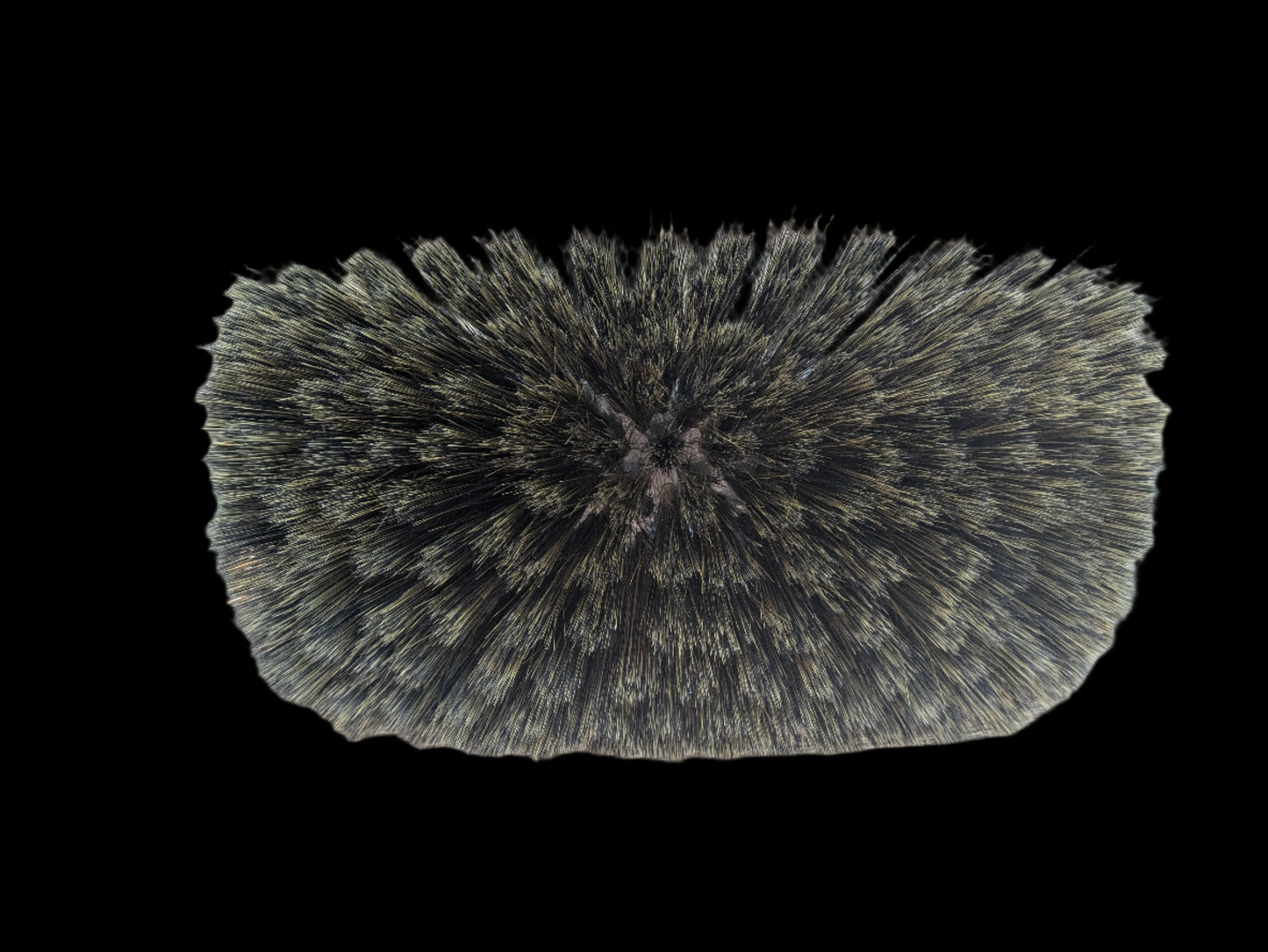 Noghair Brown Wash Brush