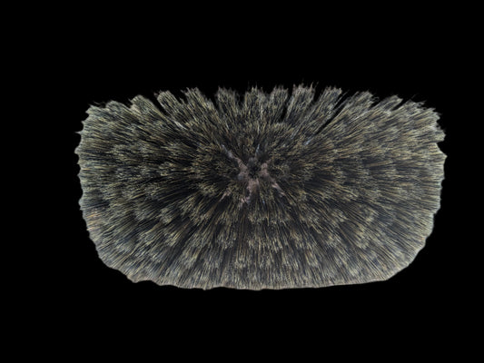 Noghair Brown Wash Brush